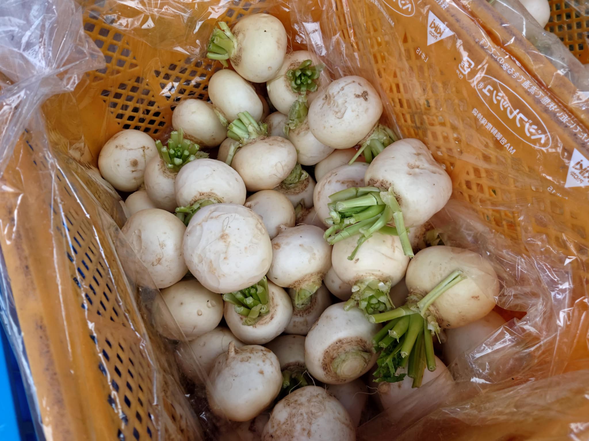 野菜販売2